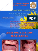 Anatomía de Los Maxilares