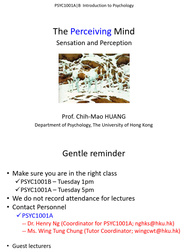 Understanding Sensation and Perception | PDF | Senses | Sound