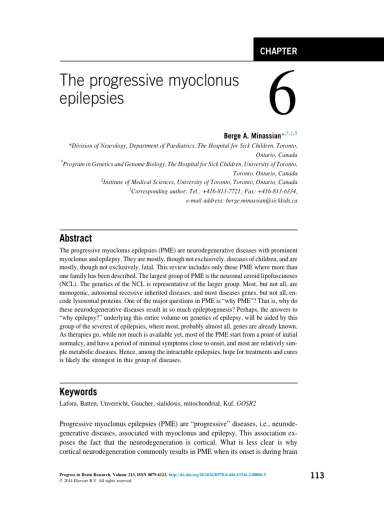 Understanding Progressive Myoclonus Epilepsies | PDF | Diseases And ...