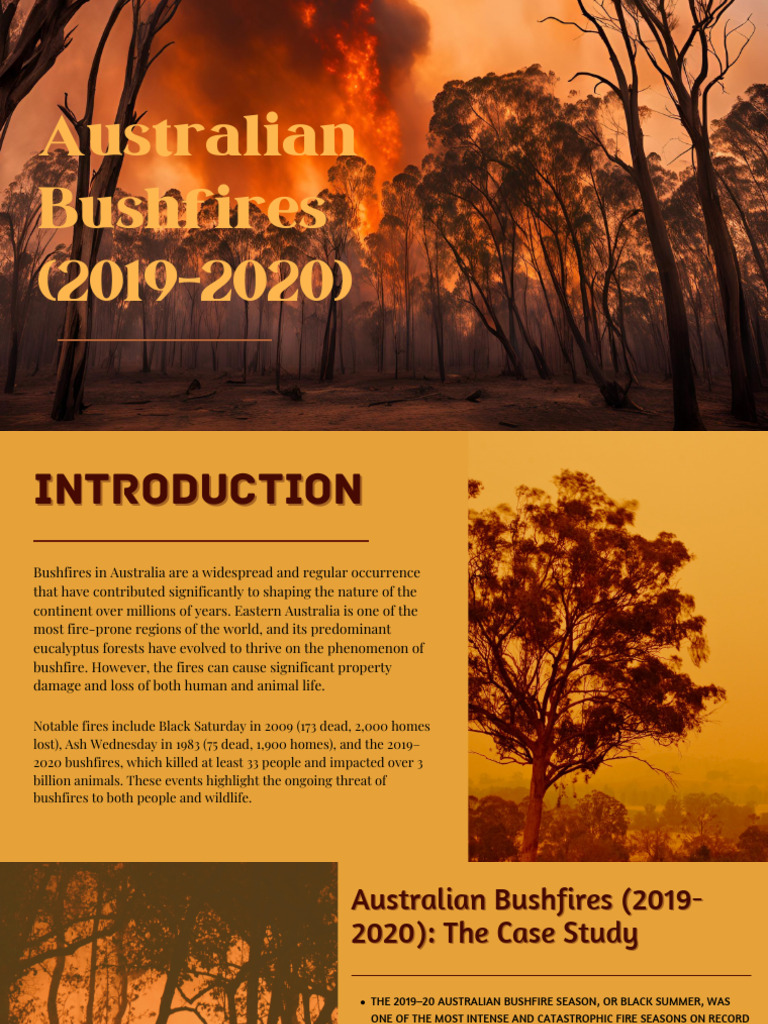 Australian bushfires (2019-2020) | PDF | Wildfire | Earth Sciences
