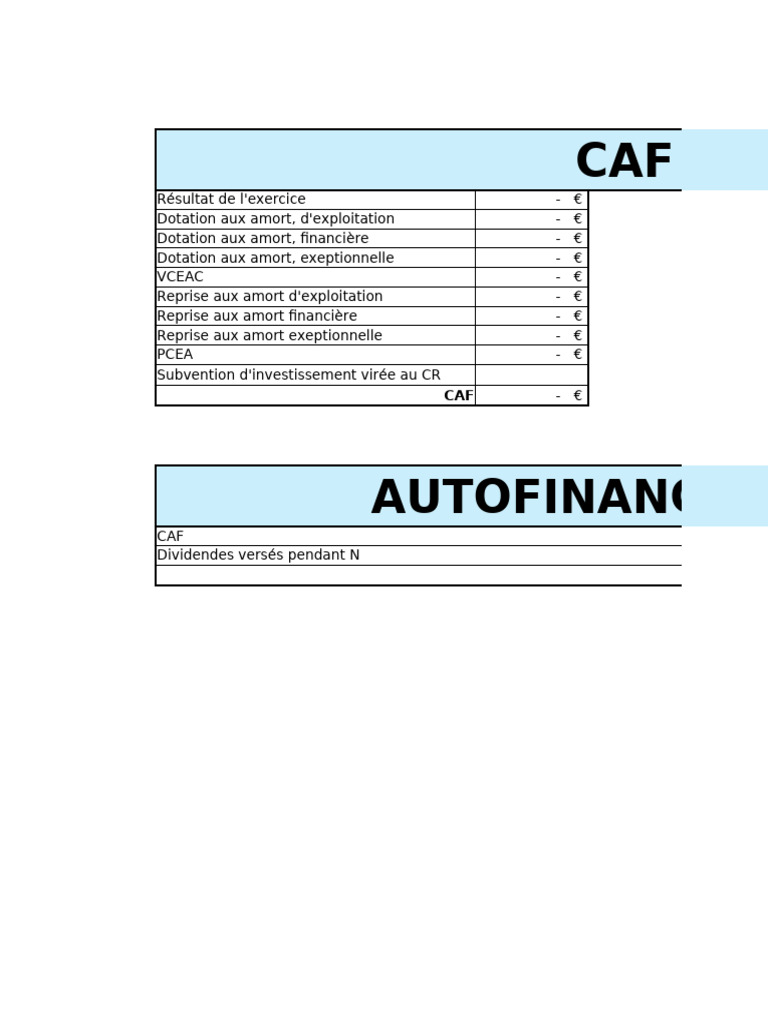 Analyse financière et CAF détaillée | PDF | Prêts | Revenu brut