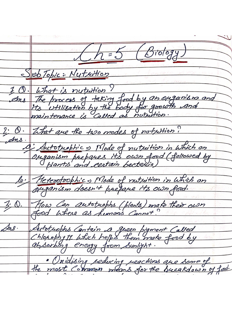 Ch Life Processes | PDF