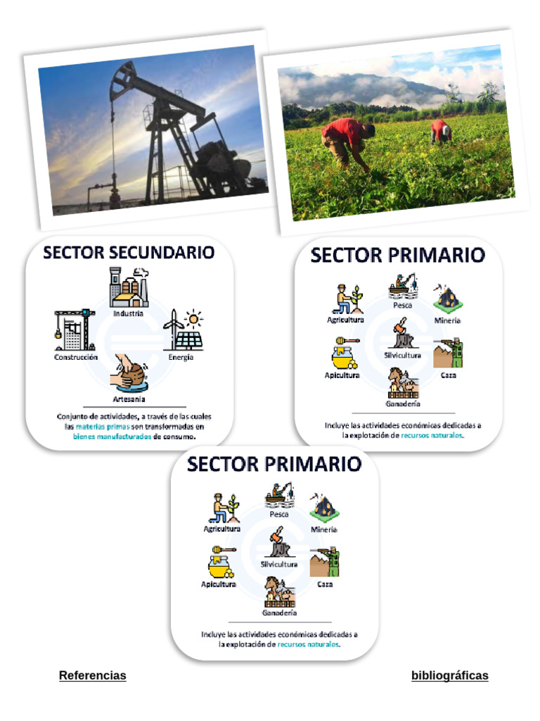 Cuáles Son Las Principales Actividades Economicas de Nuestro País 2 | PDF