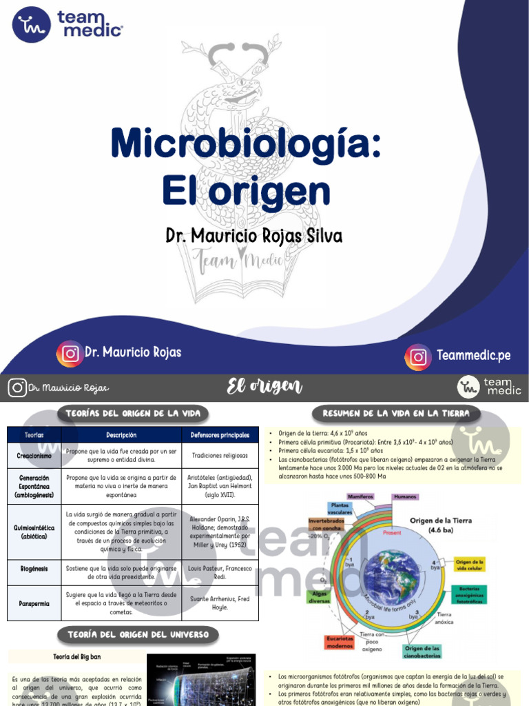 Teorías del Origen de la Vida en la Tierra | PDF | Biología | Naturaleza