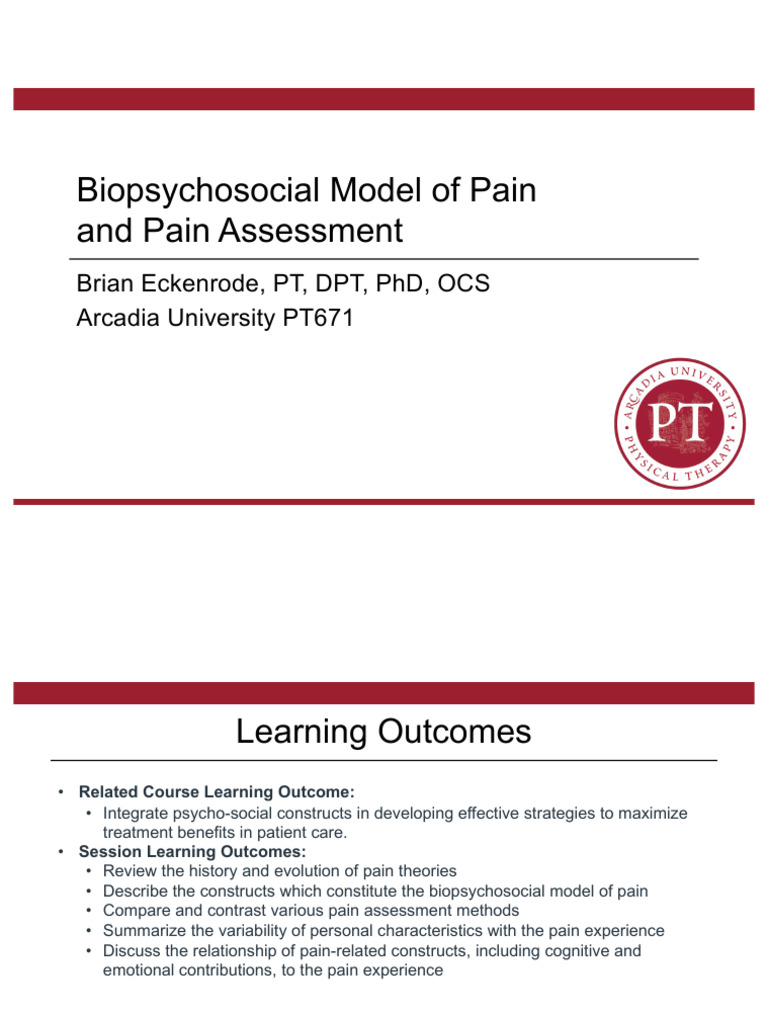 Biopsychosocial Model of Pain Explained | PDF | Pain | Psychology