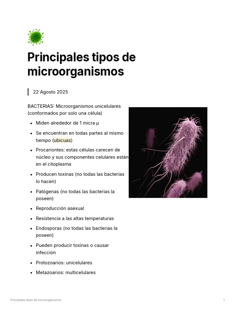 Tipos de Microorganismos y su Impacto | PDF | Las bacterias ...