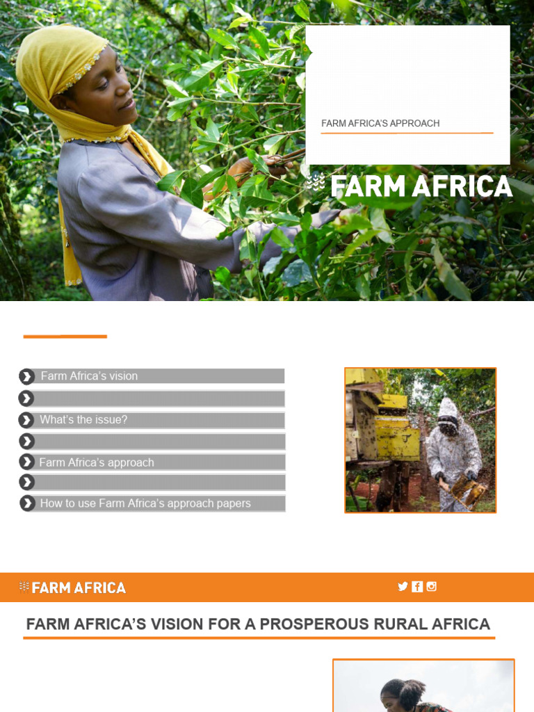 Participatory Forest Management Guide | PDF | Forest Management ...