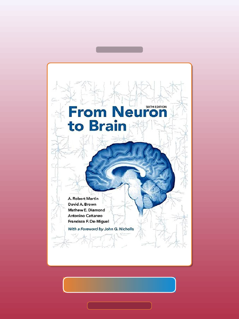 From Neuron to Brain 6th Edition True PDF From Publisher E-book ...