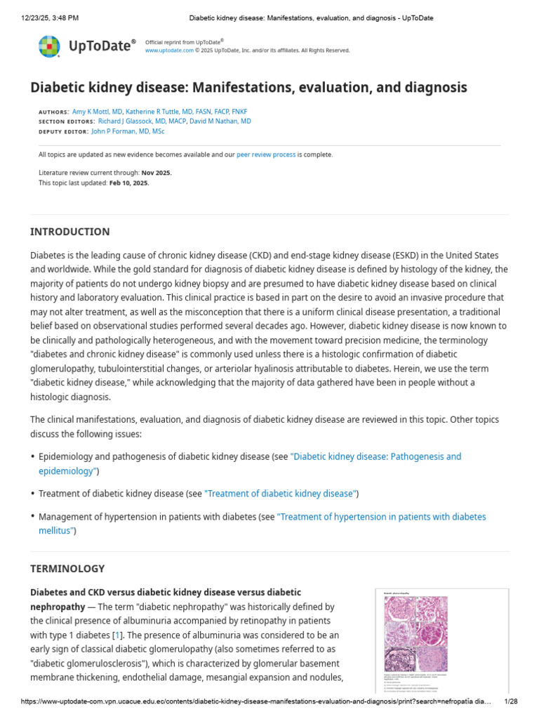 Diabetic Kidney Disease Overview | PDF | Chronic Kidney Disease ...