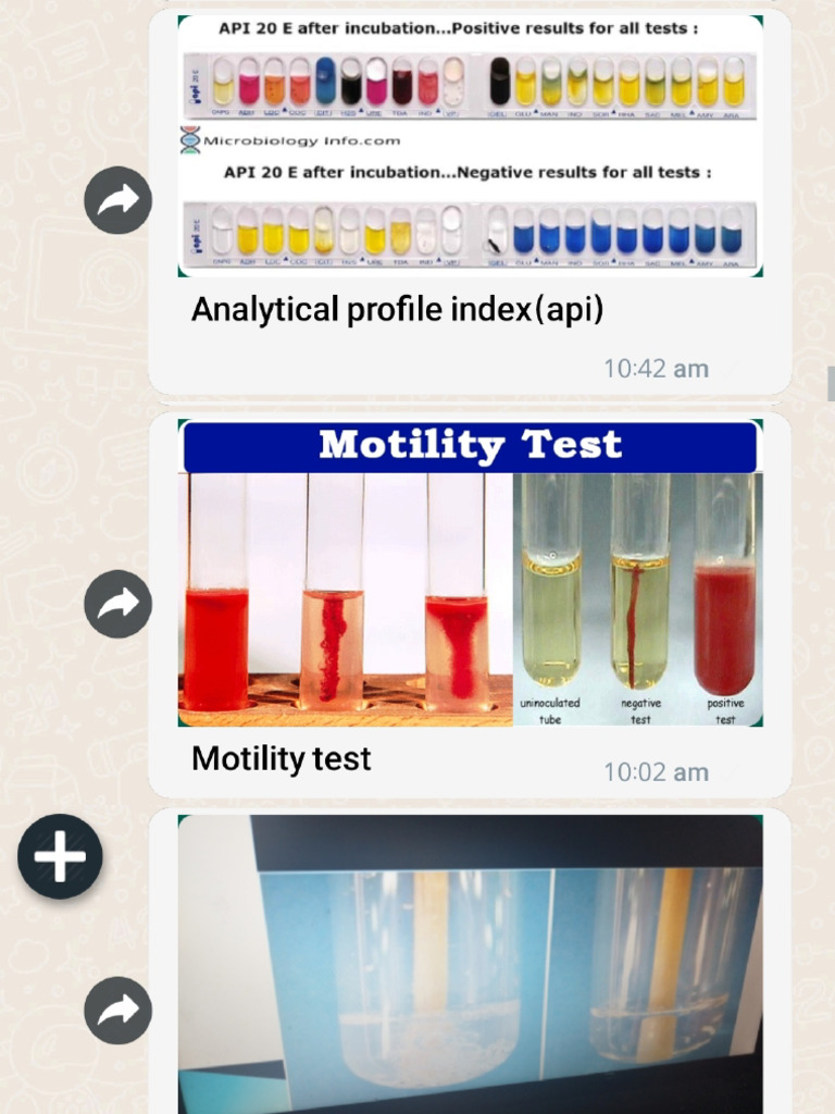 wad aljabl -bio chemical test-?? | PDF