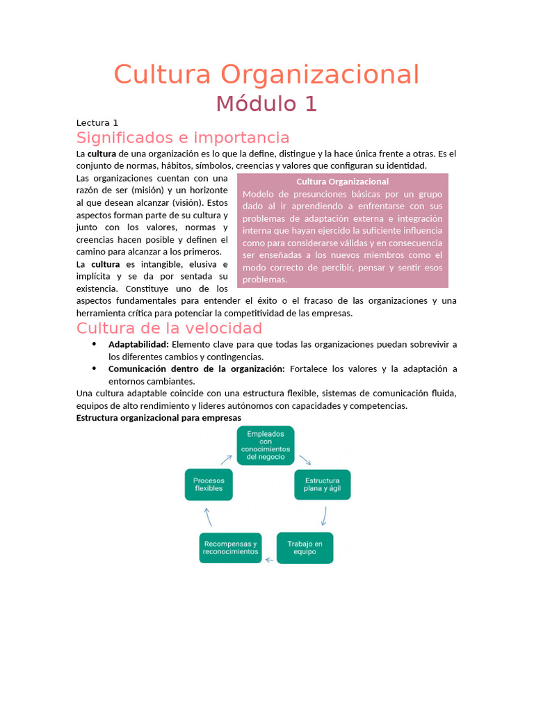 Importancia de la Cultura Organizacional | PDF | Cultura organizacional ...