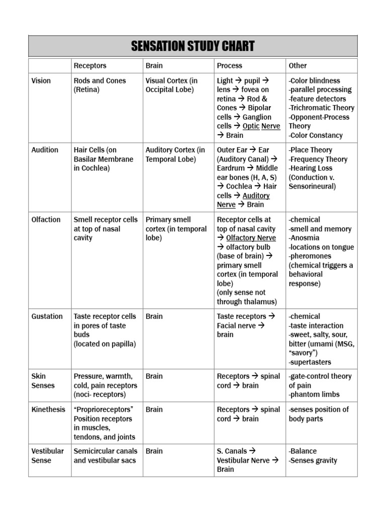 Sensation Study Chart: Receptors & Processes | PDF | Senses | Taste