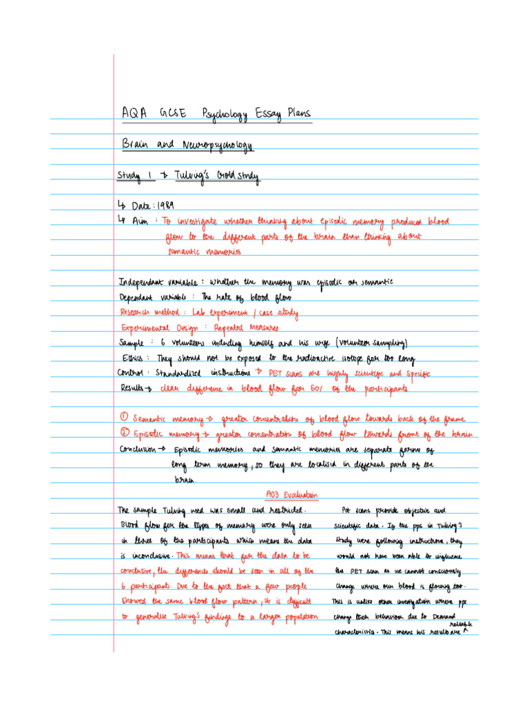 Note 8 Dec 2025 (2) | PDF | Memory | Emotions
