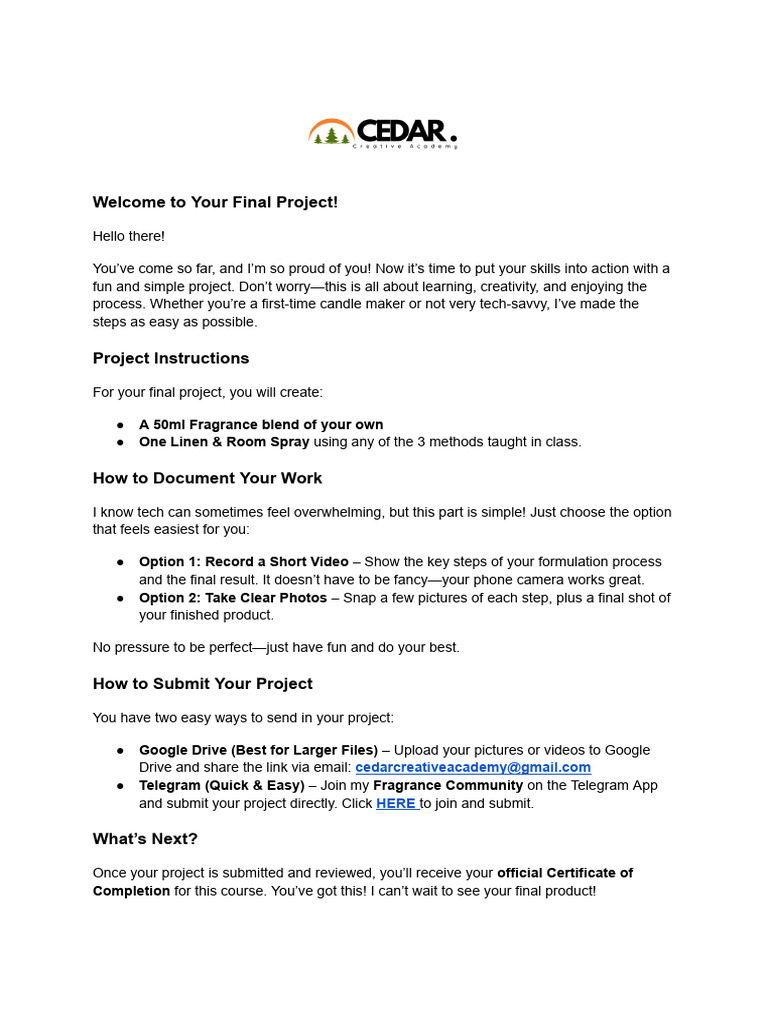 Class+Project+Submission+Guidelines+(2) | PDF