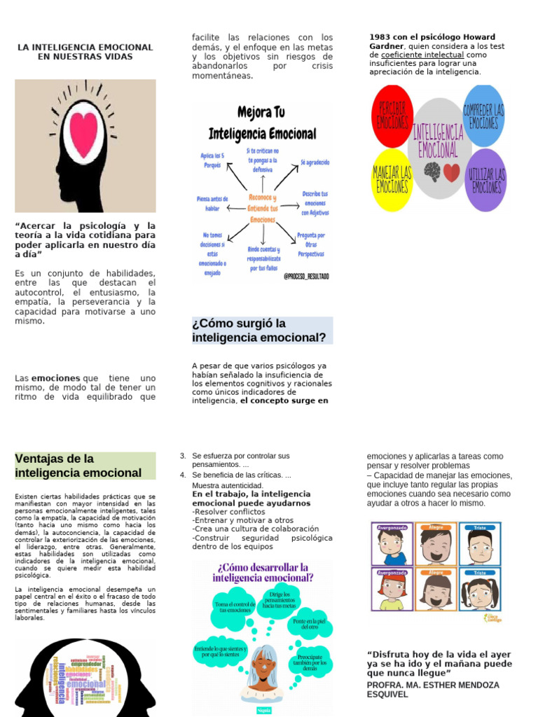 Inteligencia Emocional en la Vida Cotidiana | PDF | Inteligencia ...