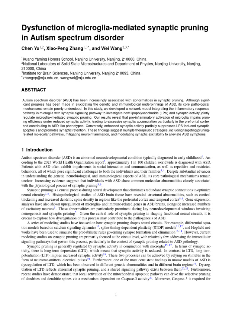 Microglia Dysfunction in Autism Pruning | PDF | Synapse | Synaptic ...
