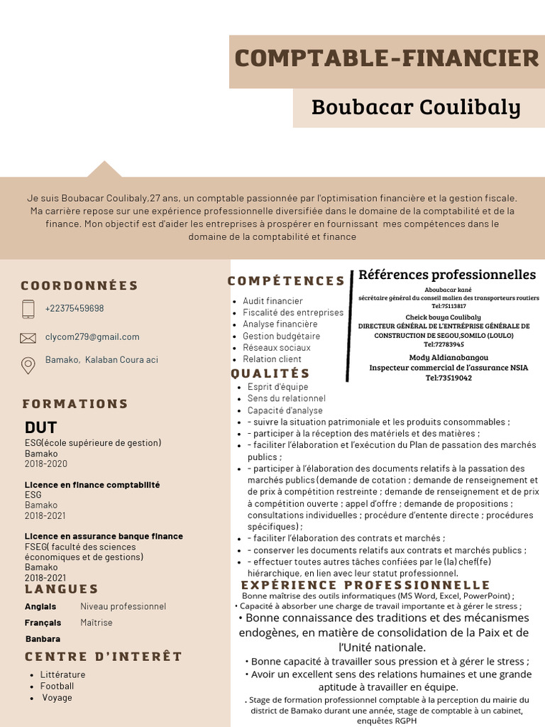 CV Français Professionnel Marron Simple PDF | PDF | Comptabilité | Économie