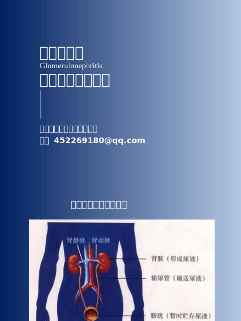 重医肾小球肾炎ppt | PDF
