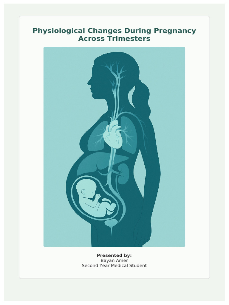 Physiological Changes During Pregnancy | PDF | Pregnancy | Uterus