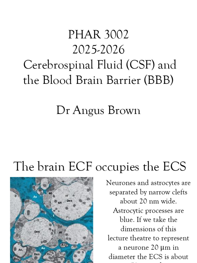 2 Blood Brain Barrier & CSF | PDF | Cerebrospinal Fluid | Anatomy