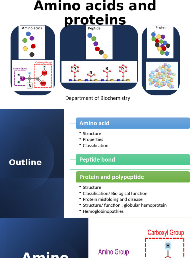 Chemistry of Amino Acids and Protein 2025-26 | PDF | Amino Acid | Proteins