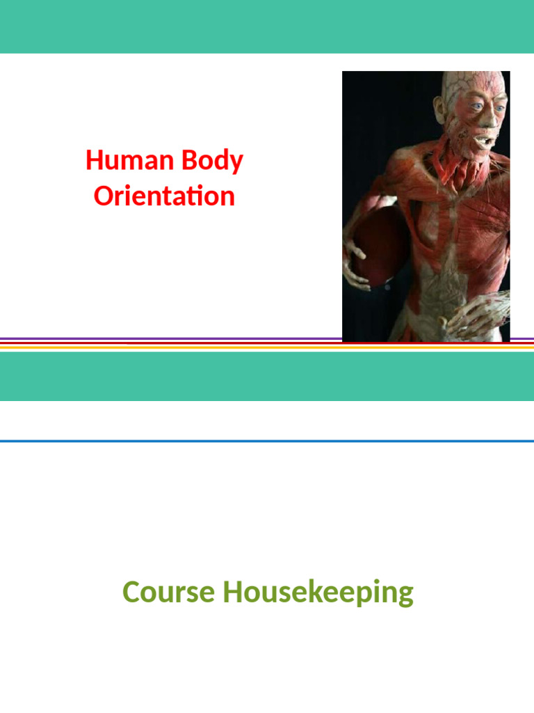 Unit 1 - Human Body Orientation | PDF | Anatomical Terms Of Location ...