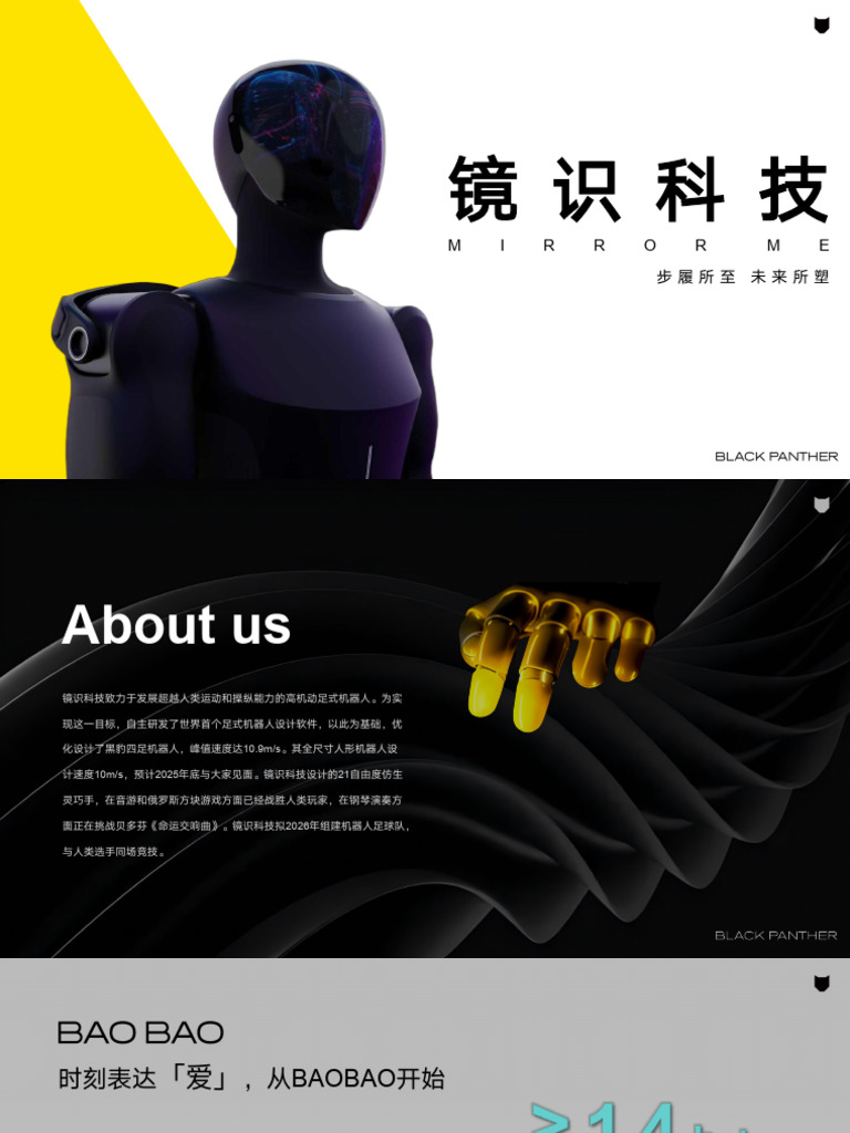 BAOBAO销售资料 | PDF