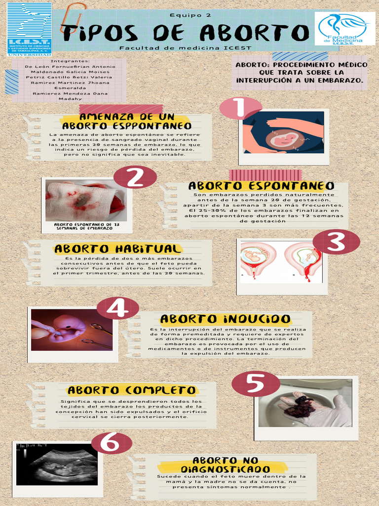 Infografía Tipos de Aborto | PDF | Aborto | El embarazo