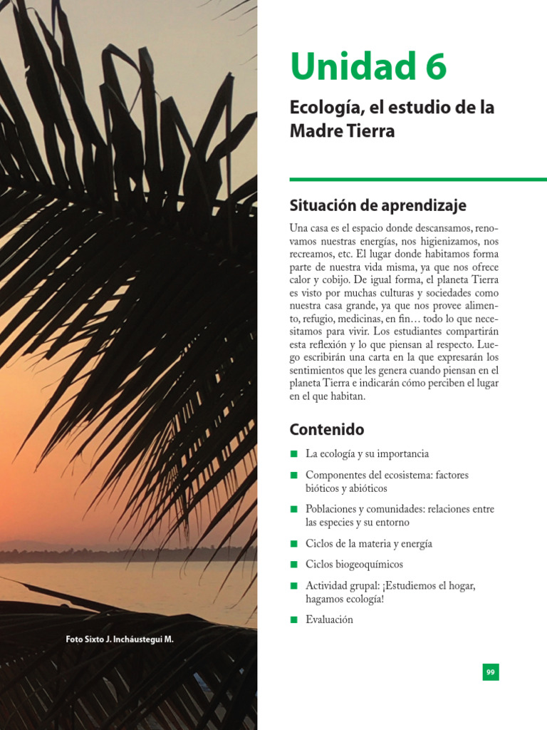 Libro de 4to | PDF | Ecología | Entorno natural