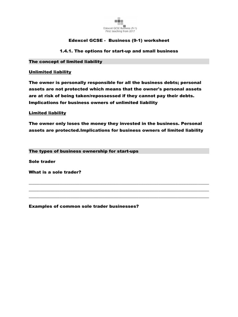 141 Worksheet | PDF | Limited Liability | Franchising