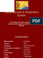 Cardiovascular & Respiratory System