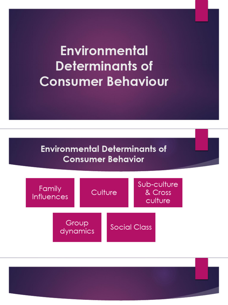 Chapter 3 Environmental Determinants | PDF | Pizza