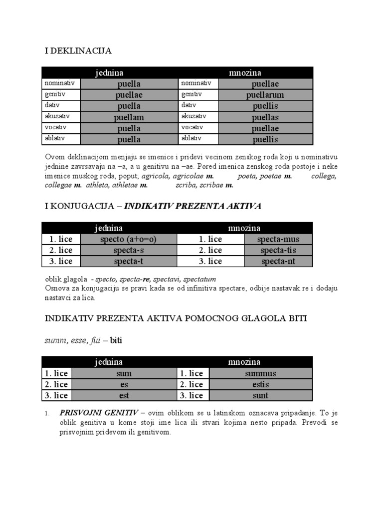 Latinska Gramatika | PDF