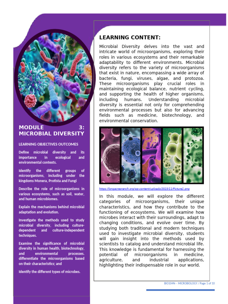Module 3 Microbial Diversity | PDF | Bacteria | Gram Positive Bacteria