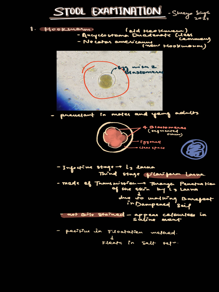 Stool Examination 251028 200539 | PDF