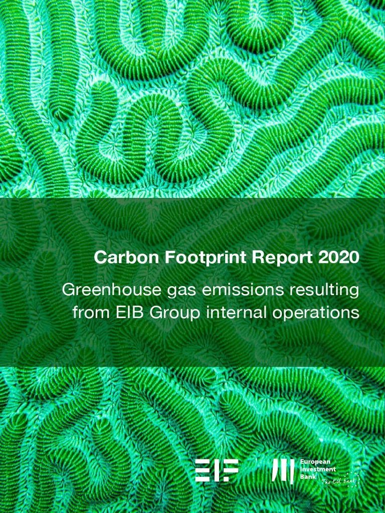 Carbon Footprint Report 2020 - Greenhouse Gas Emissions Resulting From ...