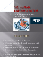 The Structure and Function of the Heart