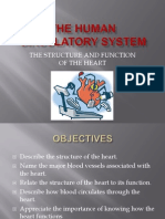 The Structure and Function of The Heart