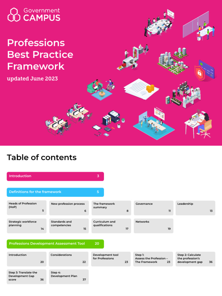 Professions Best Practice Framework v13 13.07.23 | PDF