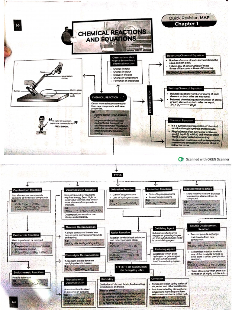 Science Rapid Revison | PDF