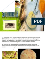 Presentación Salmonella