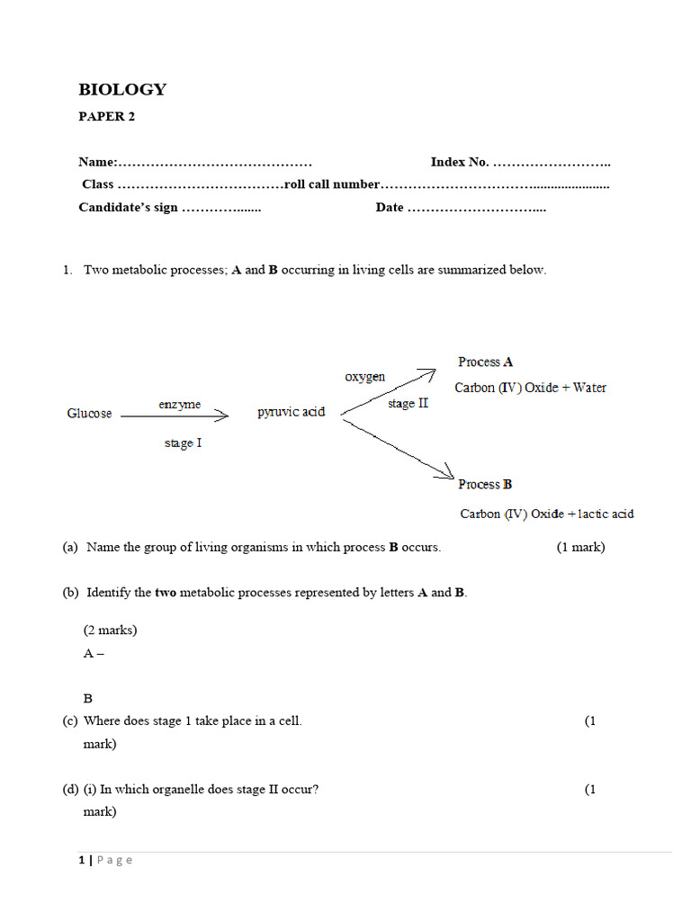 FORM 4 - Bio pp2 Revision | PDF | Zygosity | Biology