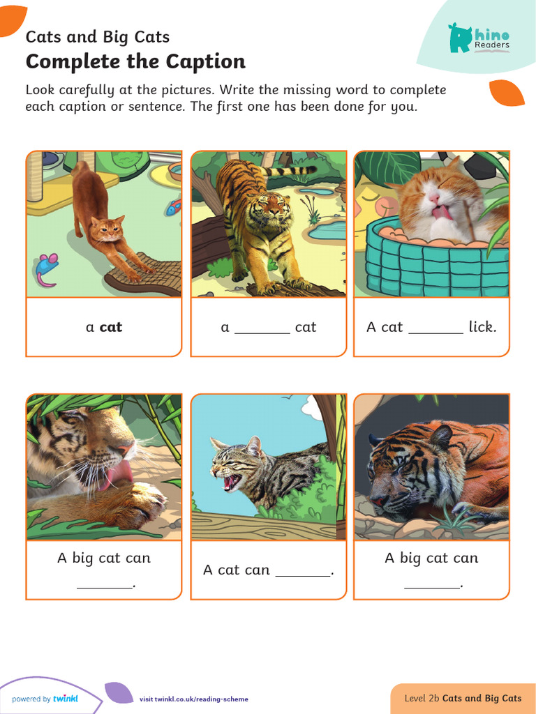 2) Complete The Caption - Cats and Big Cats | PDF