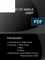 Ankle Joint