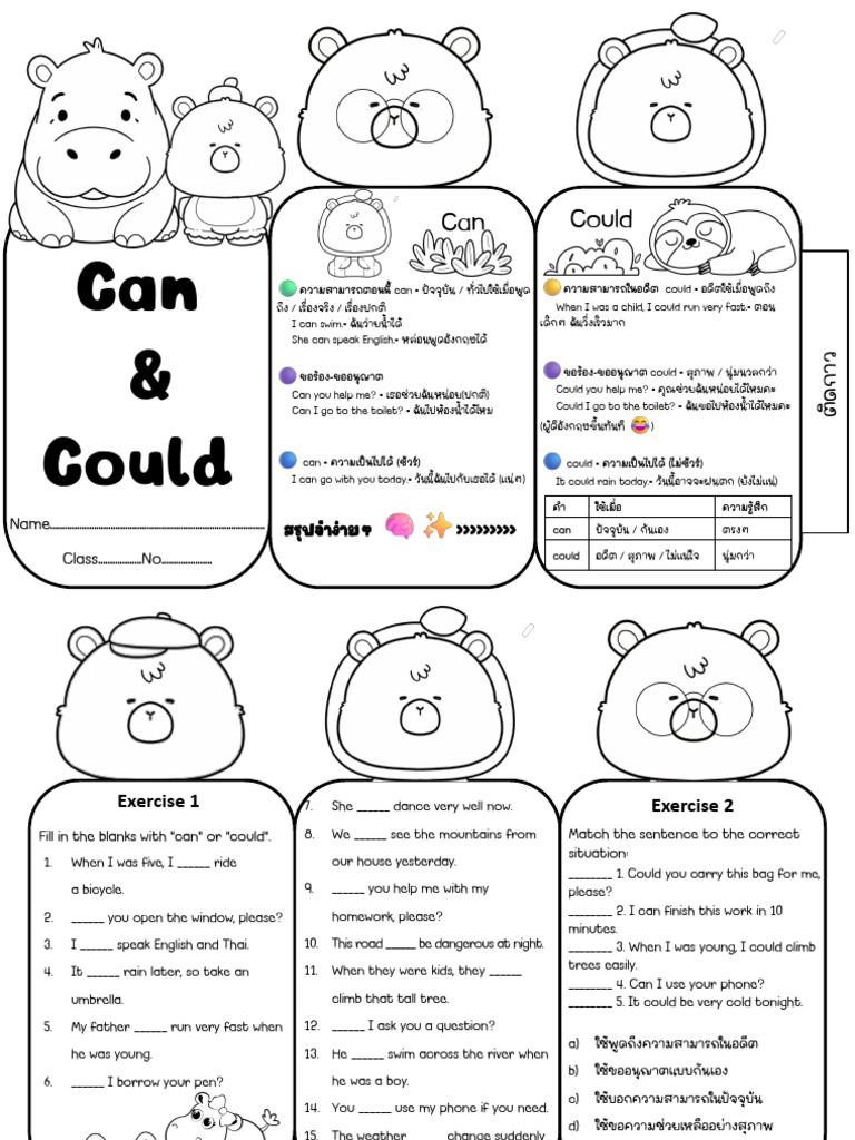 Can & Could Worksheet | PDF