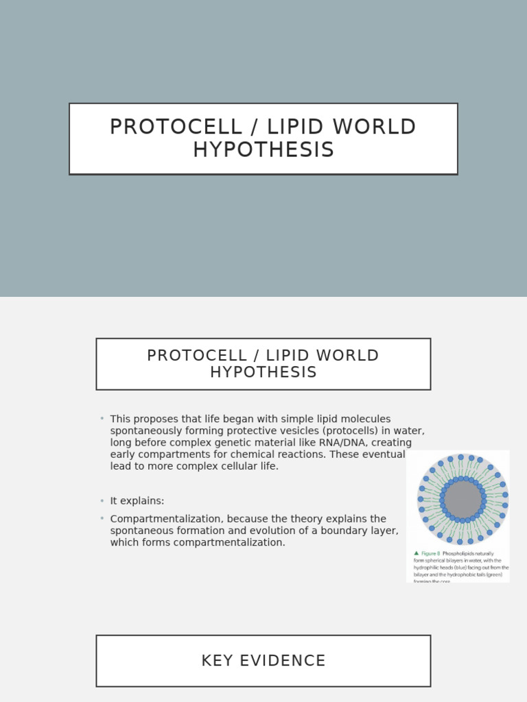 Protocell | PDF