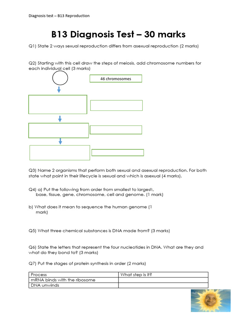 B13_Dagnostics_TS | PDF | Dominance (Genetics) | Allele