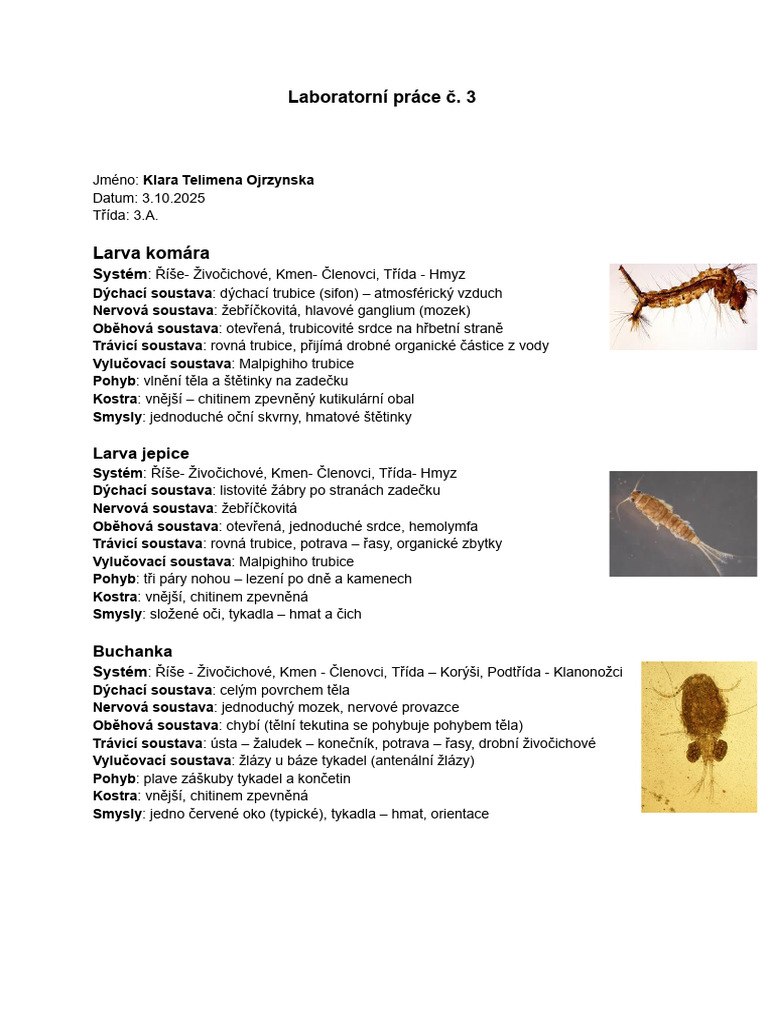 Bio Protokol | PDF