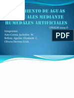 Tratamiento de Aguas Residuales Mediante Humedales Artificiales