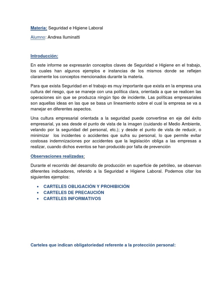Informe sobre Seguridad e Higiene Laboral | PDF | La seguridad | Color